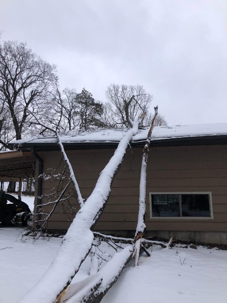 Snowy tree on garage roof
