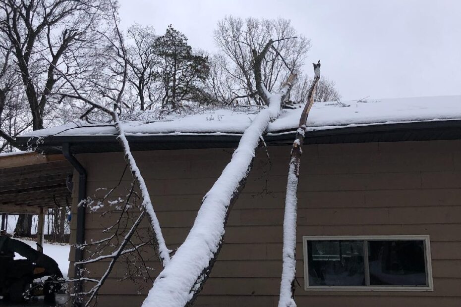 Snowy tree on garage roof